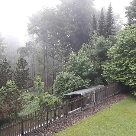 Apartment Traumhaft Sankt Andreasberg